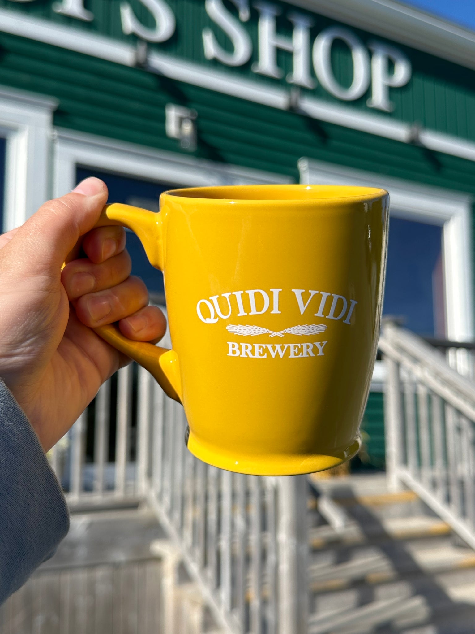Quidi Vidi 16oz Mug