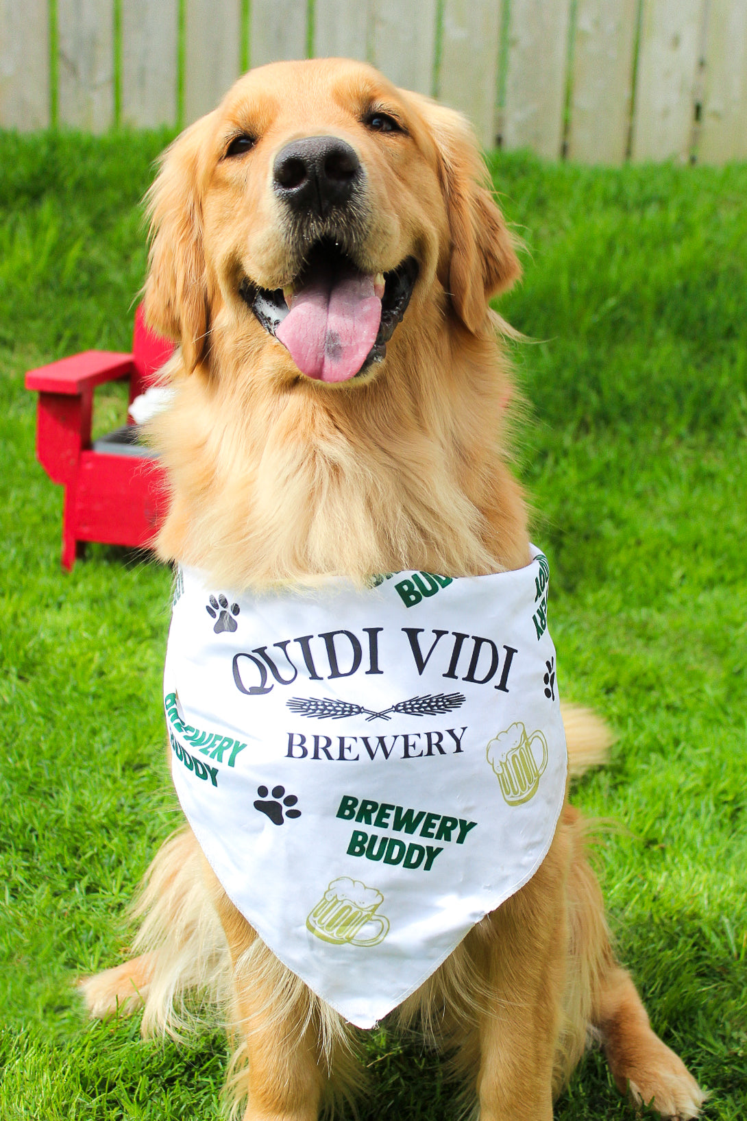 Quidi Vidi Dog Bandana