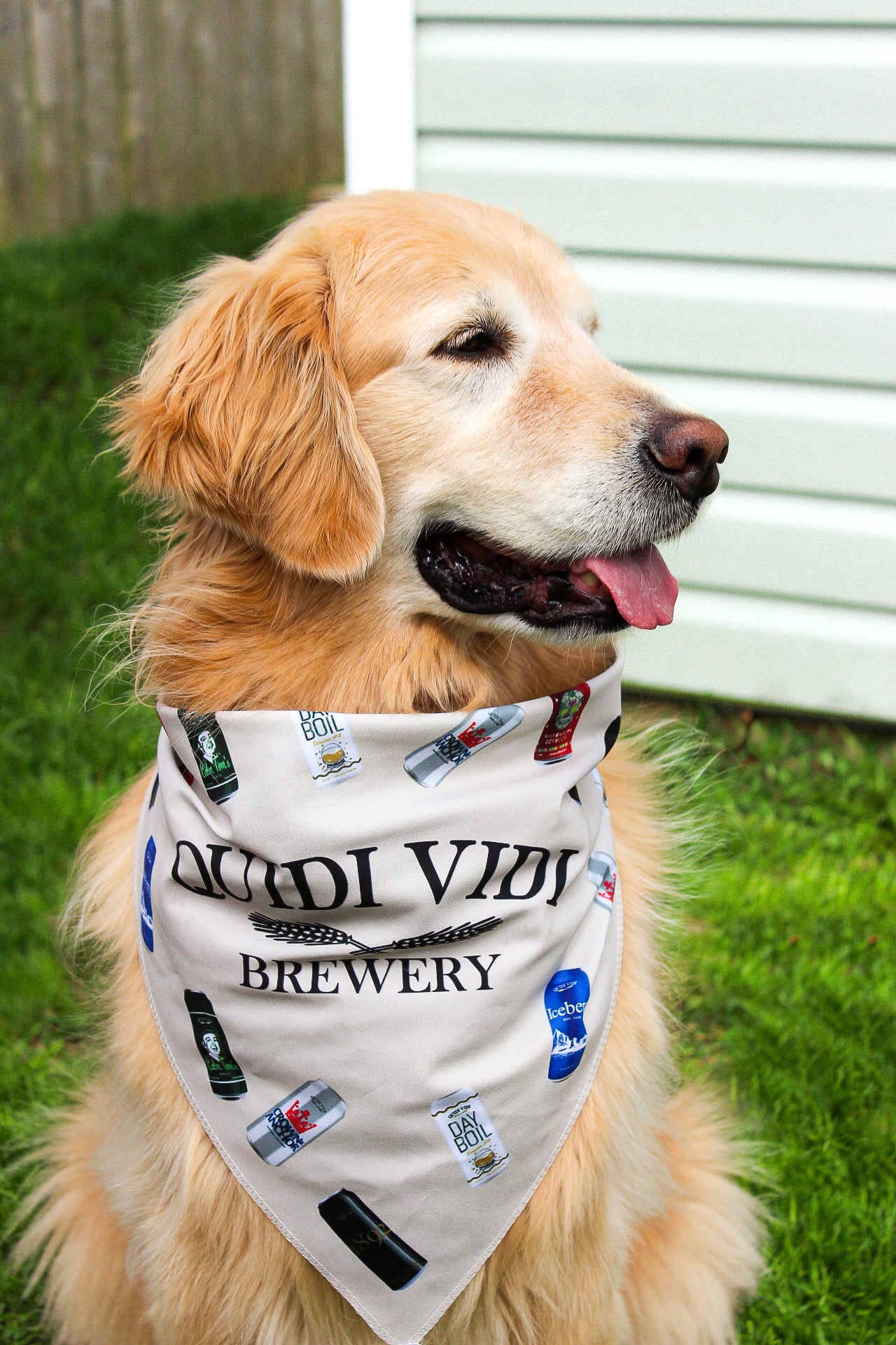 Quidi Vidi Dog Bandana