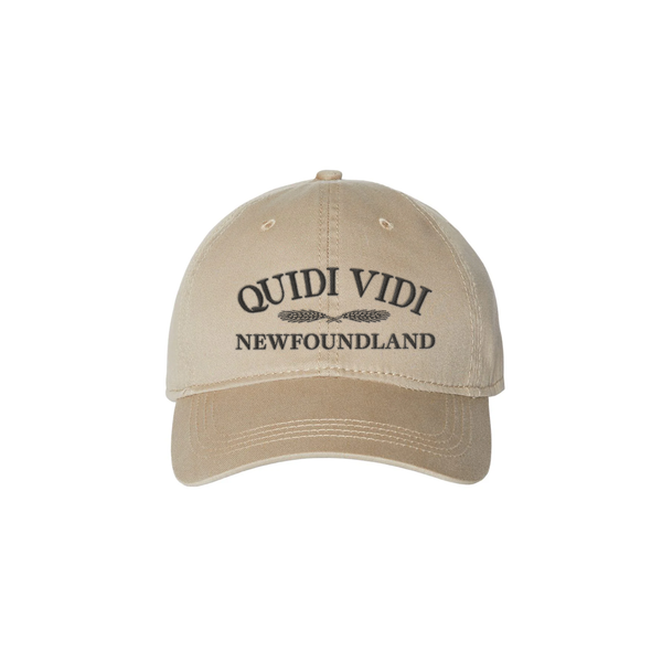 Dad Hat - QVxNL