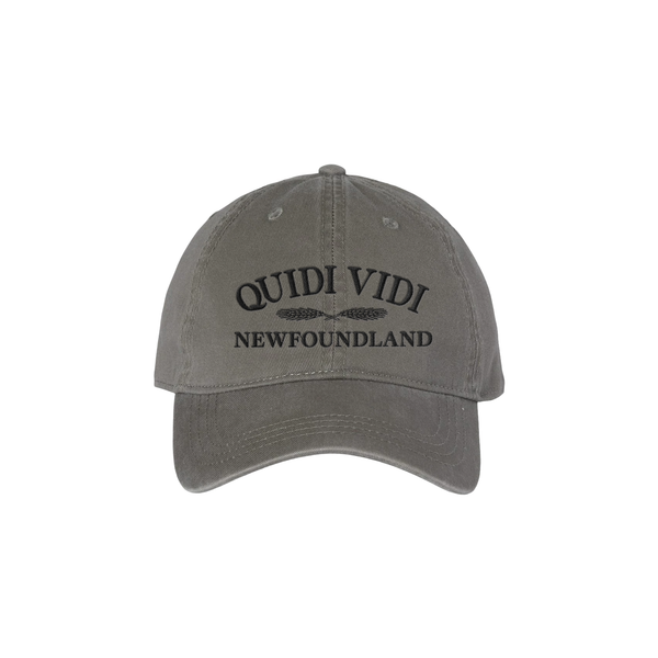 Dad Hat - QVxNL